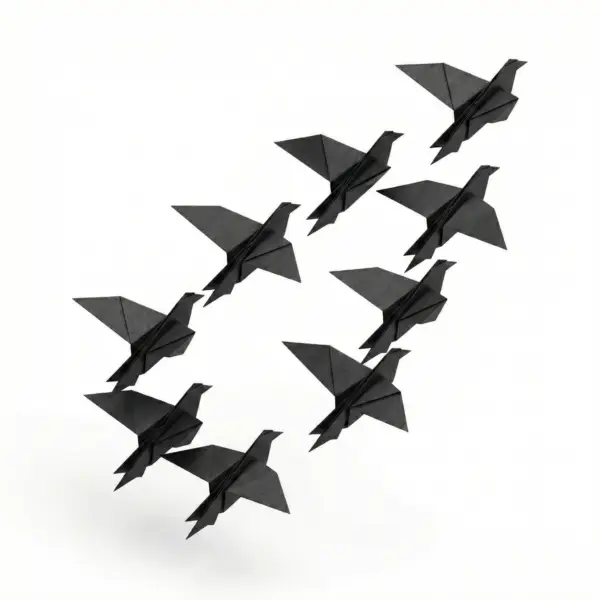 Kraai Vacatures - De Kolonie